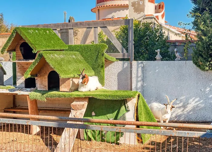 Kuko Apartmán Denia