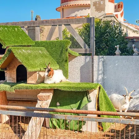 Kuko Appartement Dénia